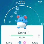 pokemon-go-marill